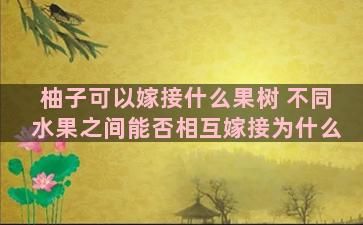 柚子可以嫁接什么果树 不同水果之间能否相互嫁接为什么